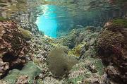 BVI Diving-0339